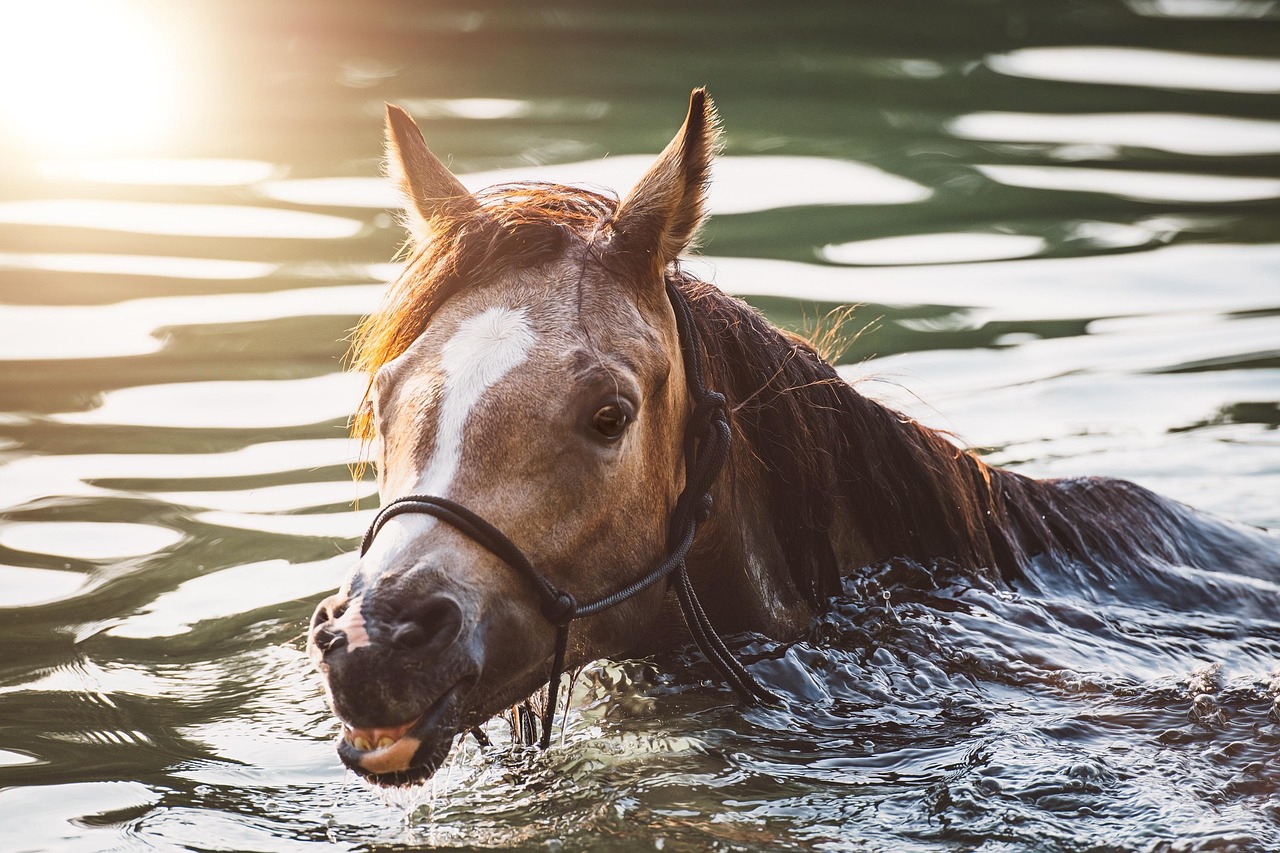 Devenir consultant en marketing digital : le guide ultime