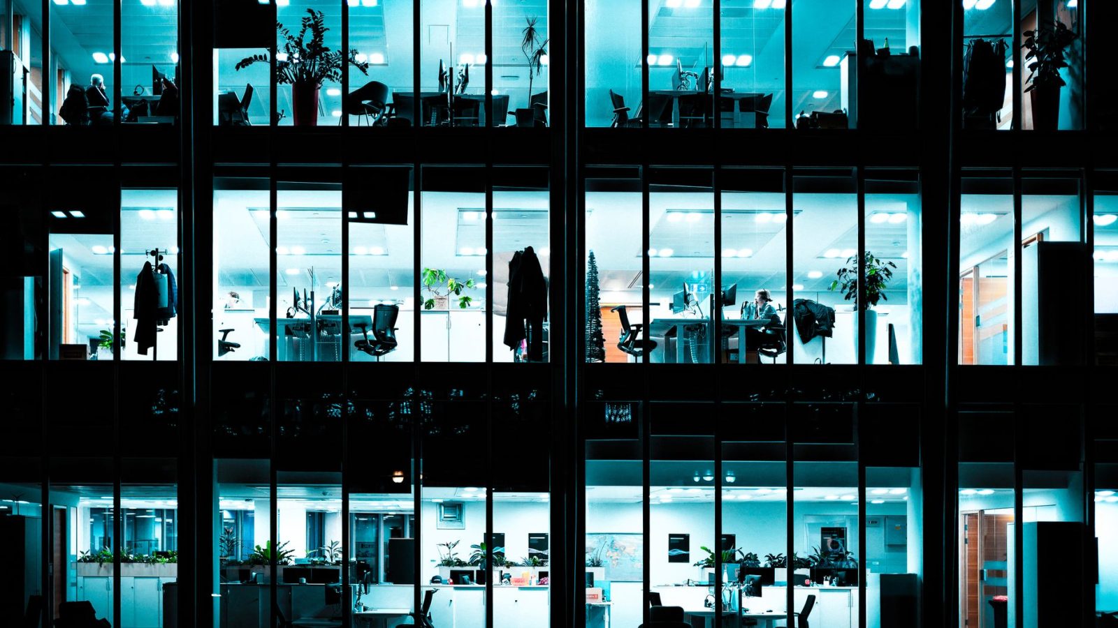 Pourquoi les 18-29 ans délaissent le CDI pour entreprendre